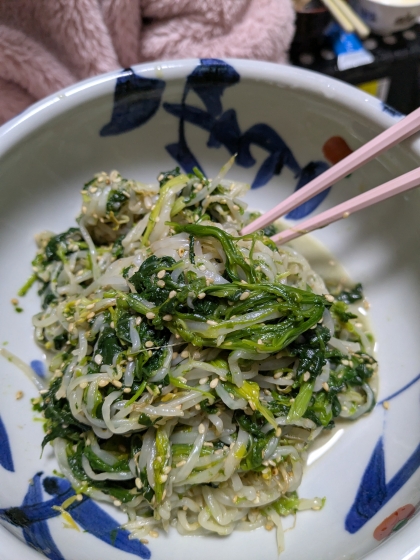 病みつき間違いなし☆もやしとほうれん草のナムル