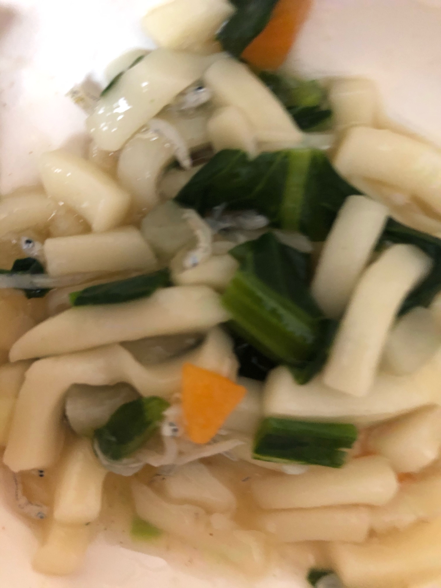 9ヶ月離乳食　しらすと小松菜のうどん