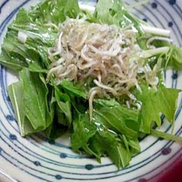 超簡単 水菜とシラスのサラダ レシピ 作り方 By Peco0918 楽天レシピ 超簡単 水菜とシラスのサラダ レシピ 作り方 By Peco0918 楽天レシピ