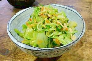 春キャベツの☆中華サラダ