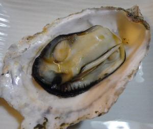 ＊シリコンスチーマーで簡単蒸し牡蠣＊