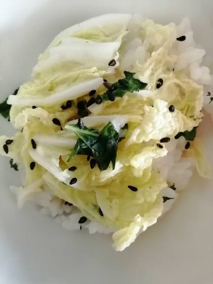 白菜と大葉の味噌煮丼♪(´˘`＊)
