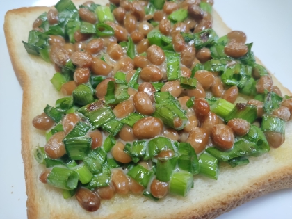 おいしかったです(*´ч`*)