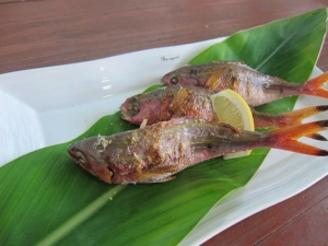 非難する 不健康 ホールド グルクン 唐 揚げ 片栗粉 Homepagebox Jp 非難する 不健康 ホールド グルクン 唐 揚げ 片栗粉 Homepagebox Jp