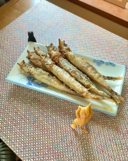 簡単♪カラッと揚げるししゃも唐揚げ