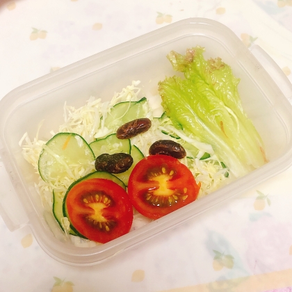 黒豆入りコールスローサラダ～トマト添え