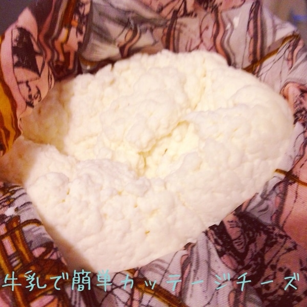 牛乳で簡単 カッテージチーズ レシピ 作り方 By Mdsyds 楽天レシピ 牛乳で簡単 カッテージチーズ レシピ 作り方 By Mdsyds 楽天レシピ
