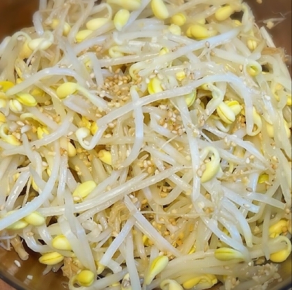 簡単おつまみᕷ*豆もやしとねぎのピリ辛ナムルꕤ୭*