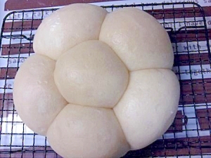 お花☆炊飯器と中力粉で白パン