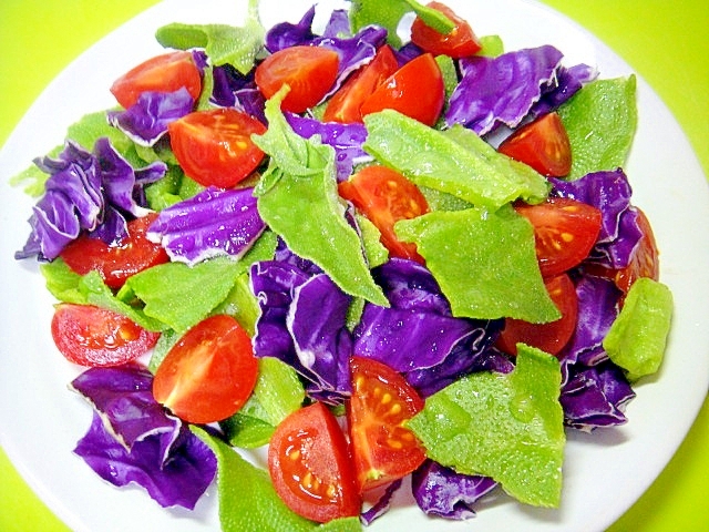 アイスプラントとミディトマト紫キャベツのサラダ