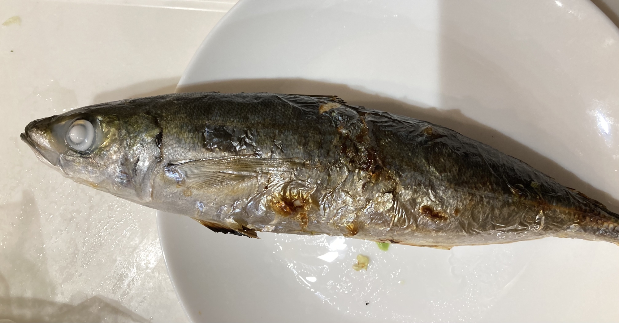 二度焼き ムロアジのうまーい塩バター レシピ 作り方 By へんてこへんてこママ 楽天レシピ 二度焼き ムロアジのうまーい塩バター レシピ 作り方 By へんてこへんてこママ 楽天レシピ