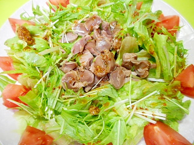 砂肝と水菜レタスのマスタード醤油サラダ