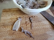 独居自炊 超めんどくさい 小さいイカの煮付け レシピ 作り方 By ブッ子 楽天レシピ 独居自炊 超めんどくさい 小さいイカの煮付け レシピ 作り方 By ブッ子 楽天レシピ