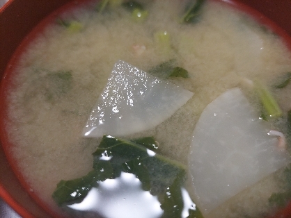 大根豆腐青梗菜のお味噌汁