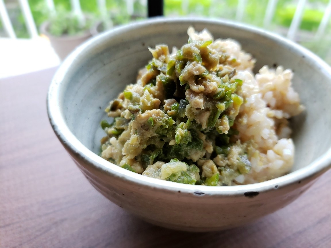 【独居自炊】ナスとピーマンの肉味噌