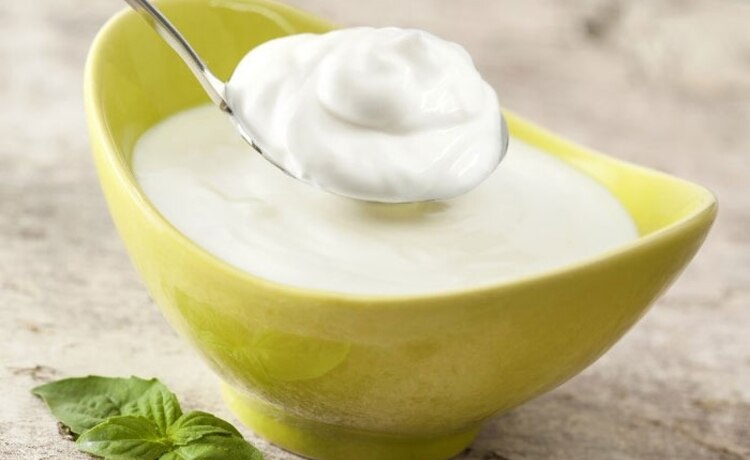 食事から免疫力アップを目指そう 冬の体調管理に欠かせない食材 レシピを解説します デイリシャス 楽天レシピ 食事から免疫力アップを目指そう 冬の体調管理に欠かせない食材 レシピを解説します デイリシャス 楽天レシピ