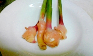 はじかみレシピ 作り方の人気順 簡単料理の楽天レシピ はじかみレシピ 作り方の人気順 簡単料理の楽天レシピ