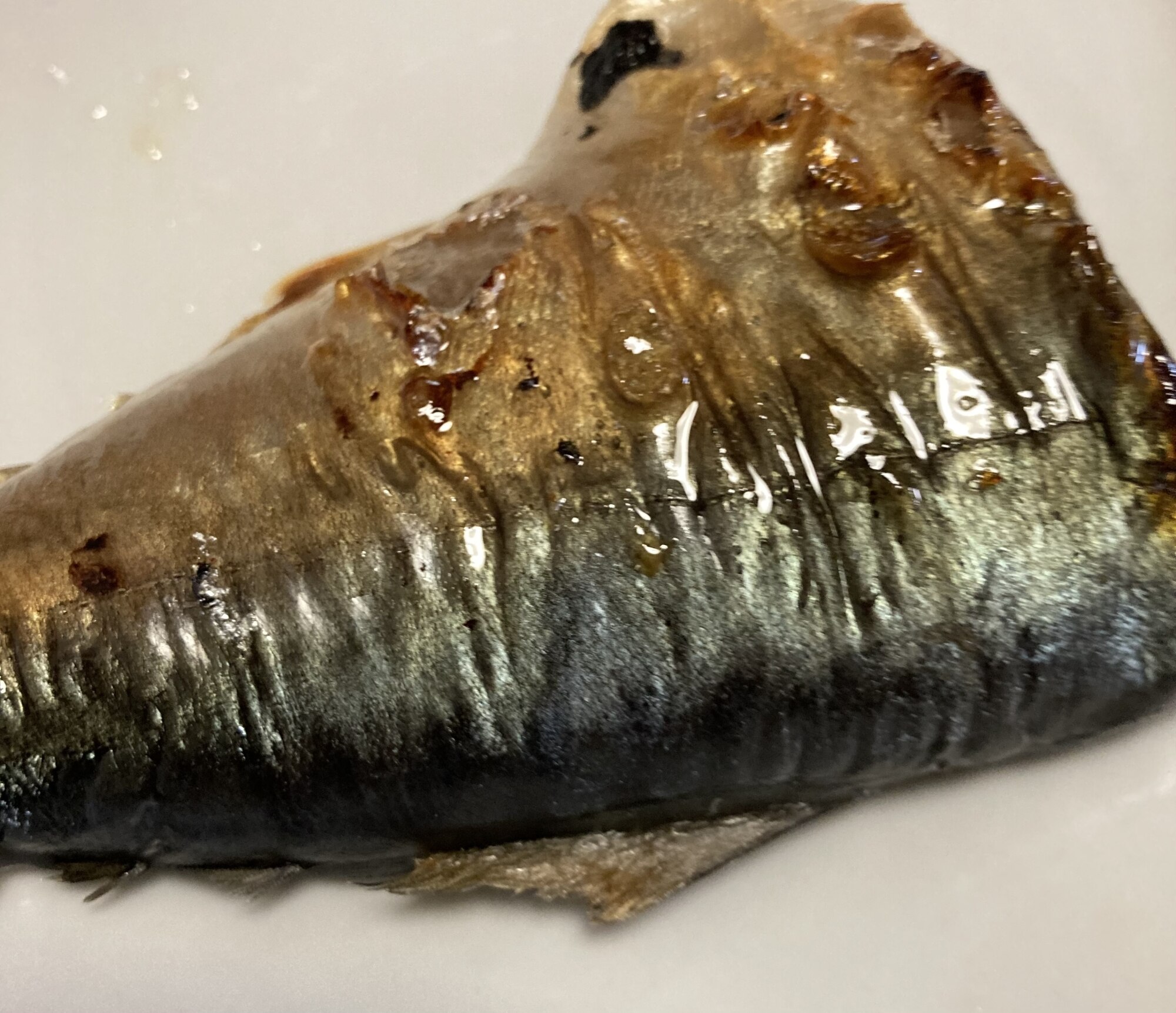 真鯖の一晩じっくり醤油麹漬け焼き レシピ・作り方 by へんてこへんてこママ - 楽天レシピ