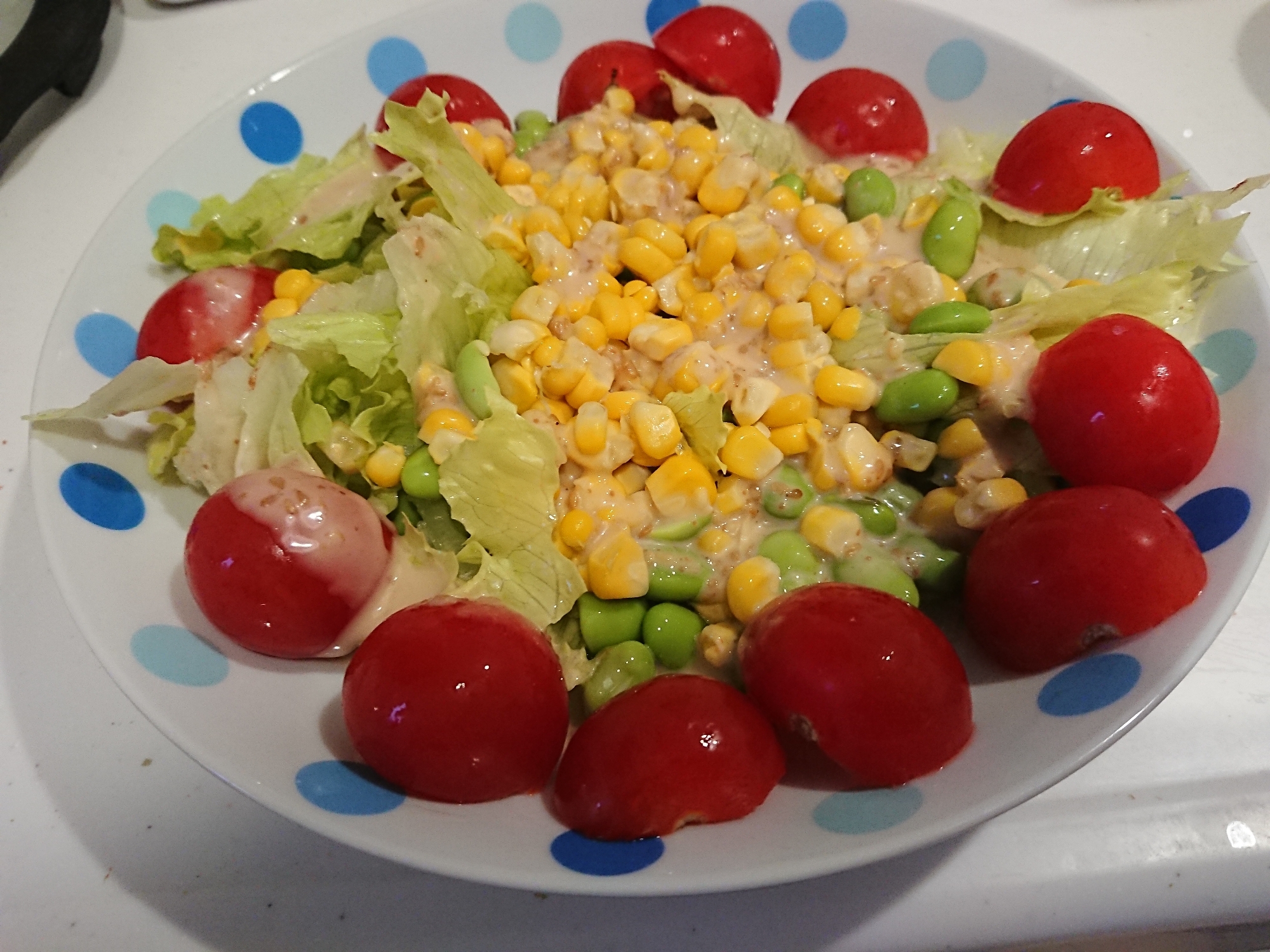 夏野菜サラダ