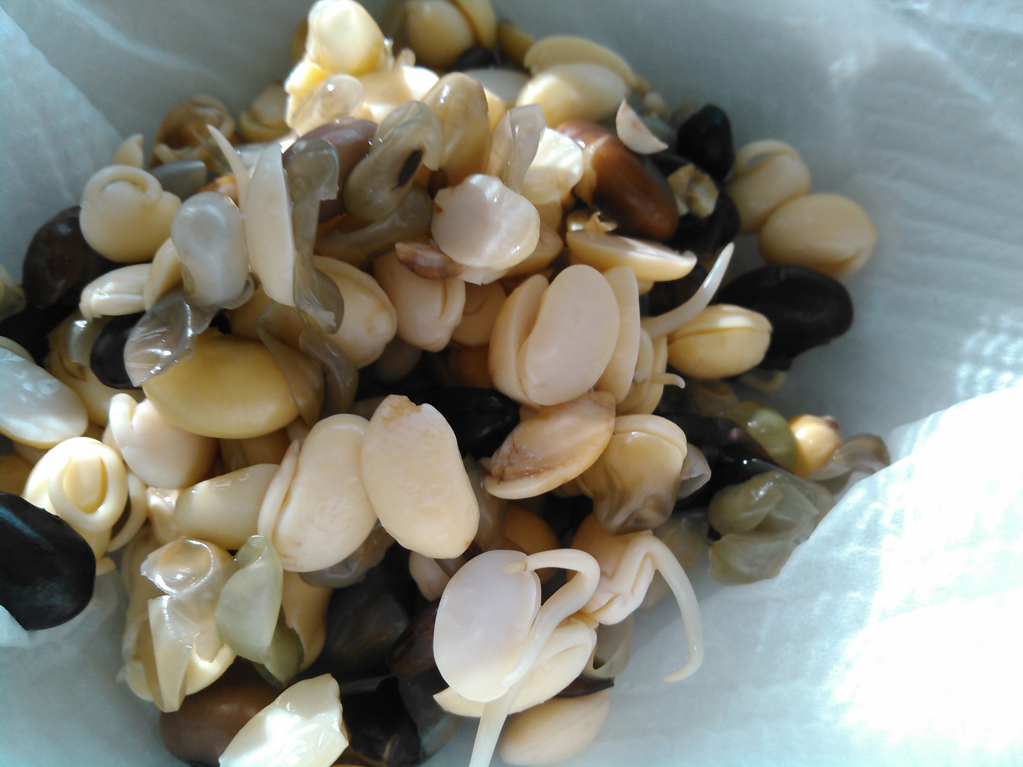 スナック感覚で食べられる味付け発芽大豆