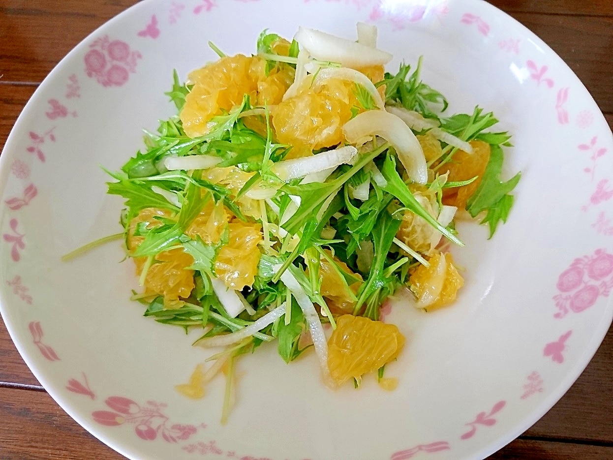 サラダ 甘夏の旬サラダ レシピ・作り方 by ビッグさん - 楽天レシピ