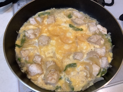 のん786さん、こんばんは♪久しぶりの親子丼、ピーマン入りで鶏肉も柔らかくとても美味しかったです。胃腸にも優しいレシピありがとうございます。ご馳走様でした^_^