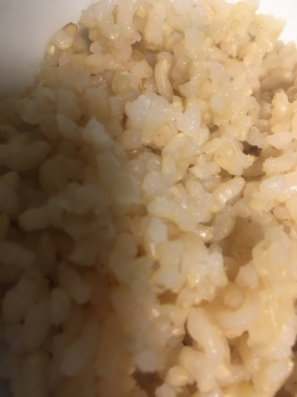 塩おにぎりできる玄米ごはん
