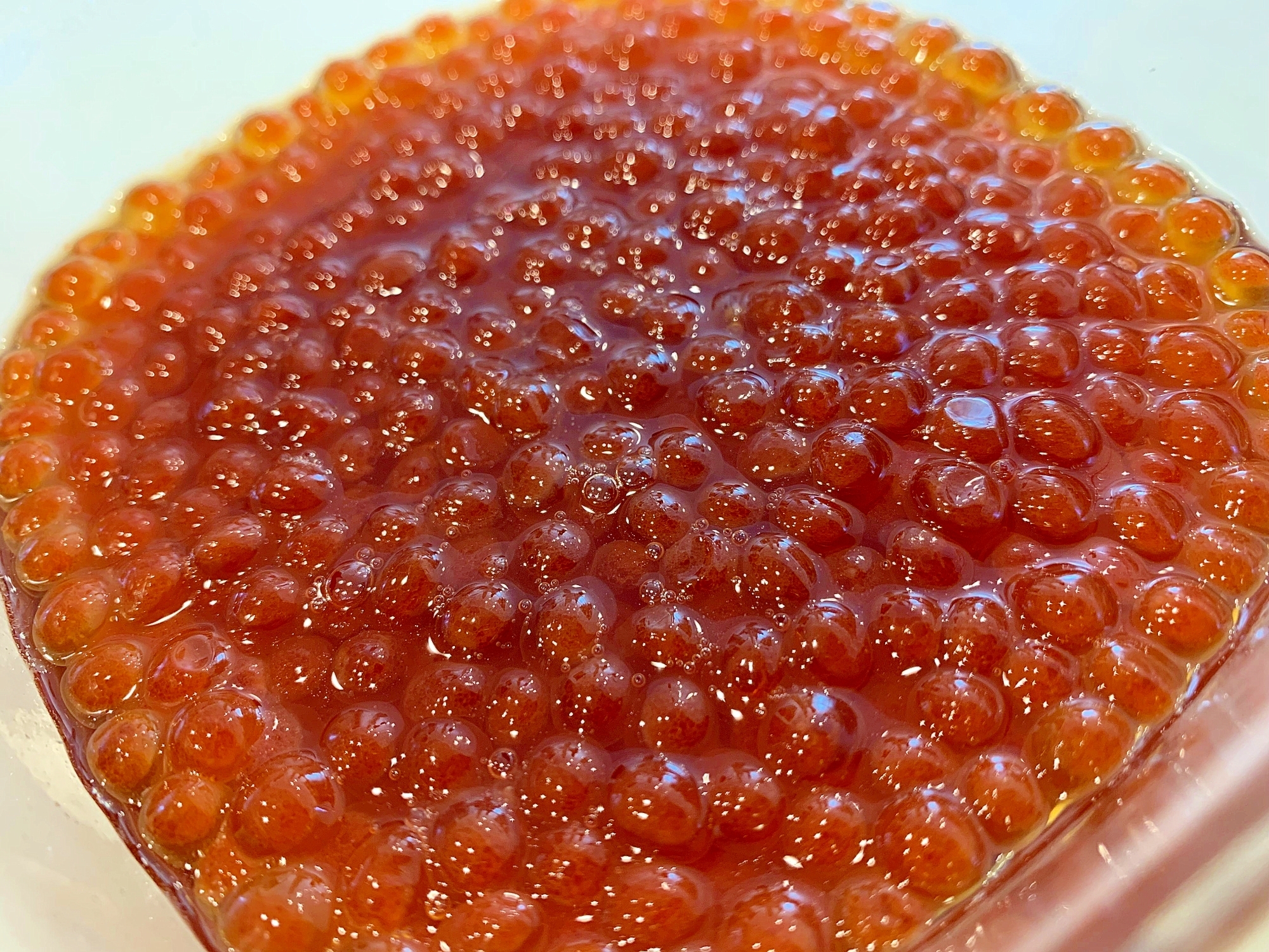 あ〜白飯が止まらない…黄金比のいくらの醤油漬け