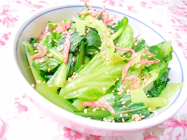 小松菜とキャベツと花小エビのとりあえず レシピ 作り方 By 小太郎1212 楽天レシピ 小松菜とキャベツと花小エビのとりあえず レシピ 作り方 By 小太郎1212 楽天レシピ