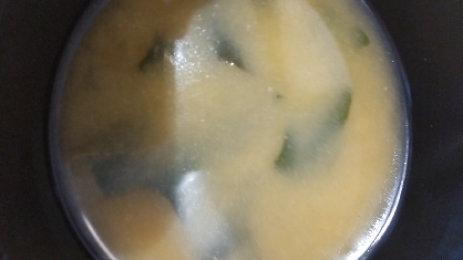 生わかめの味噌汁（液体みそ）