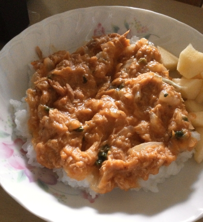 ハヤシソース