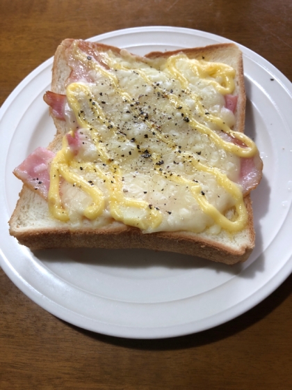 ハムとチーズとマヨとブラックペッパーのバランスが良かったです！朝食にいただきました！また作ります♪