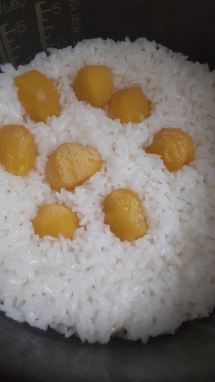 栗の甘露煮で炊き込みご飯