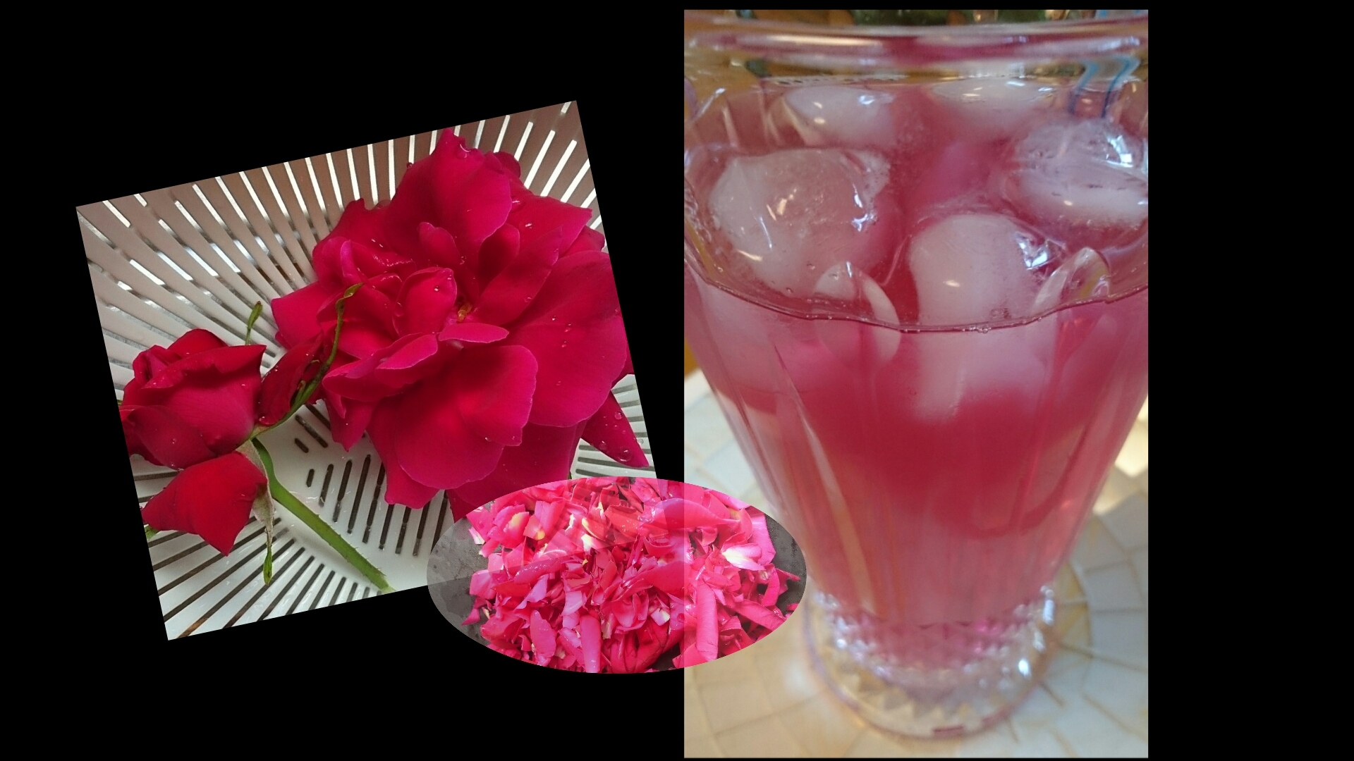 無農薬で育った食用薔薇 で作る薔薇の炭酸ジュース レシピ 作り方 By 所沢とっくん 楽天レシピ