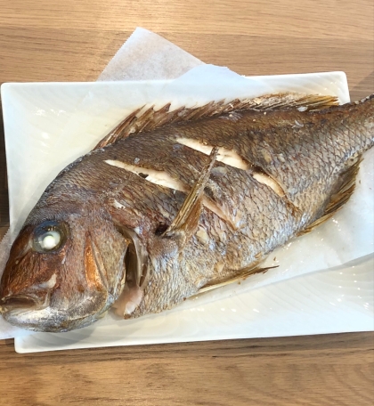 お祝いに　鯛の塩焼き・にらみ鯛