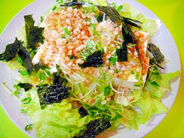 豆腐と白髪ネギ海苔のサラダ