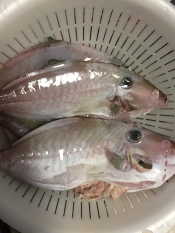 濃すぎない 皮ハギの煮付け レシピ 作り方 By Megrhythm0503 楽天レシピ