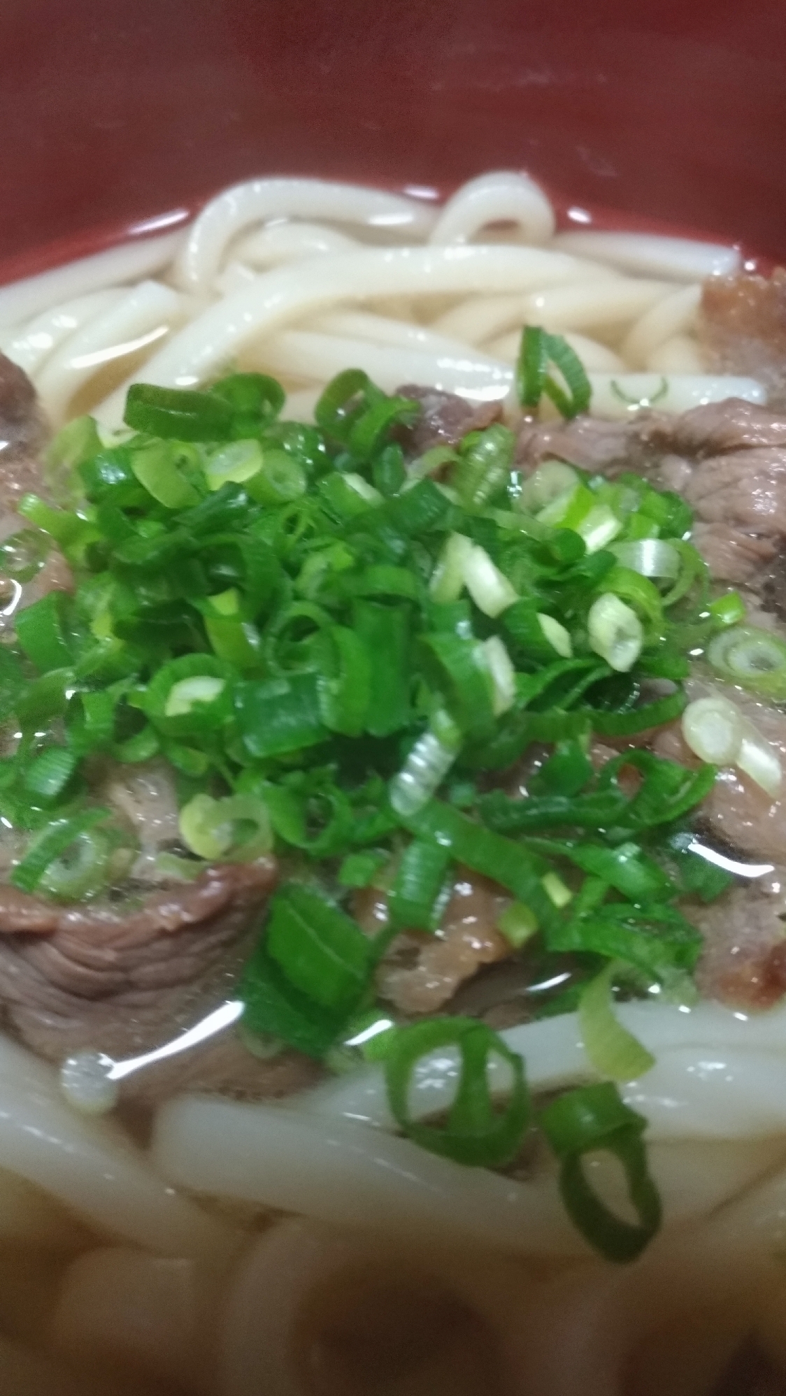 ネギたっぷり肉うどん