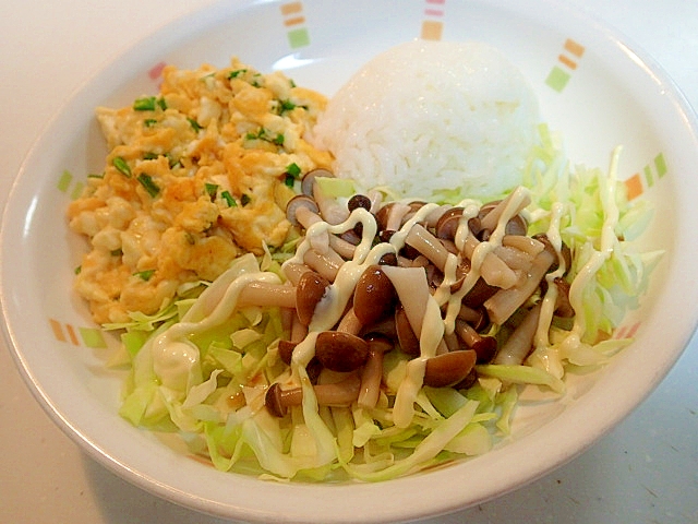 豆腐葱の卵とじとキャベしめじサラダとご飯のワンプレ