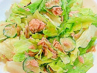 簡単♪レタスとツナのサラダ