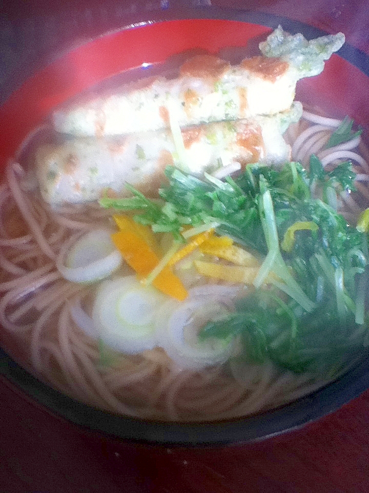 チクワ天入り☆ハリハリ蕎麦【βカロテン水菜で美肌】