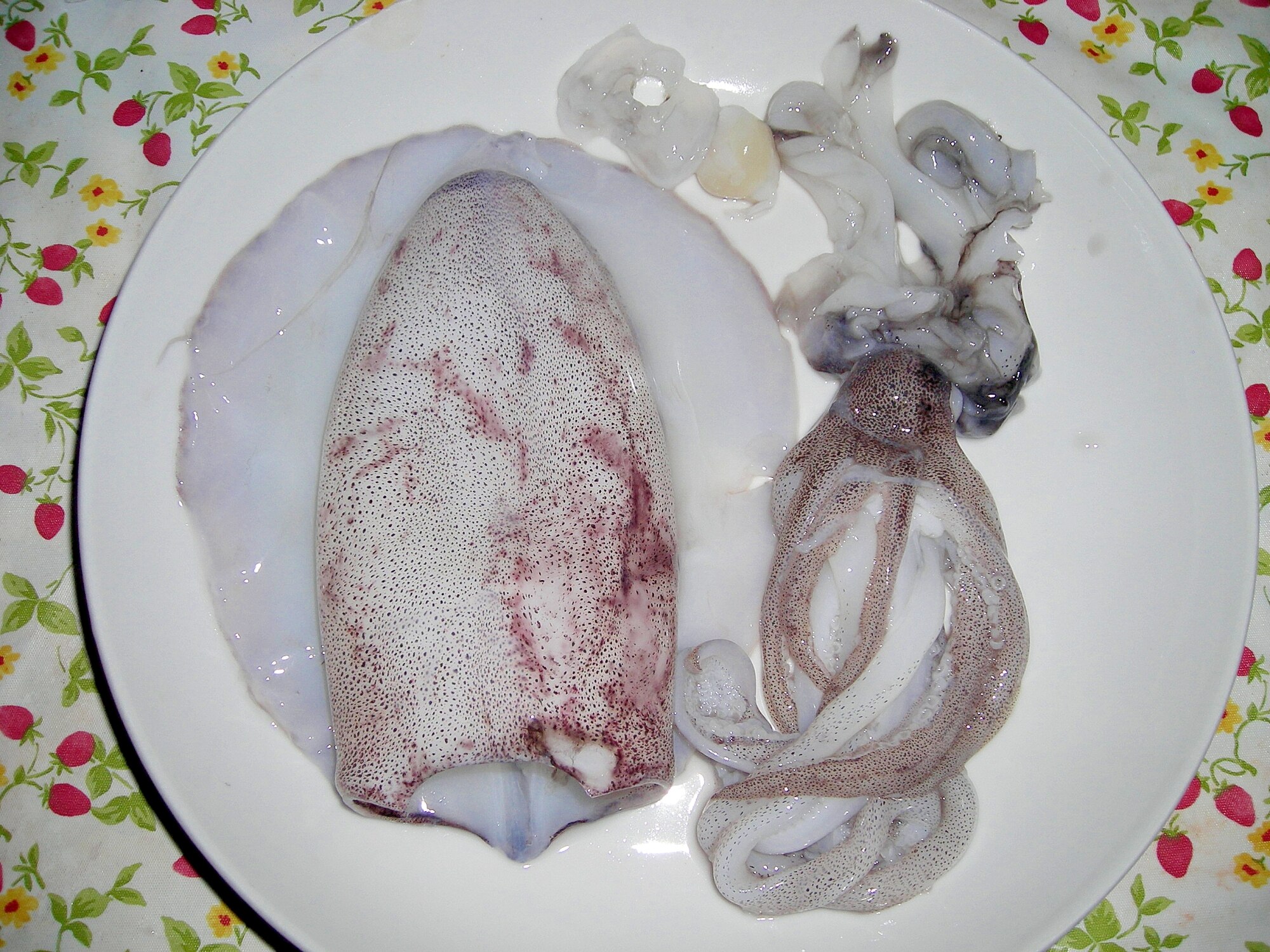 アオリイカのさばき方 自己流 レシピ 作り方 By Twyukitama Fos2猫ぽんた 楽天は餌 楽天レシピ アオリイカのさばき方 自己流 レシピ 作り方 By Twyukitama Fos2猫ぽんた 楽天は餌 楽天レシピ