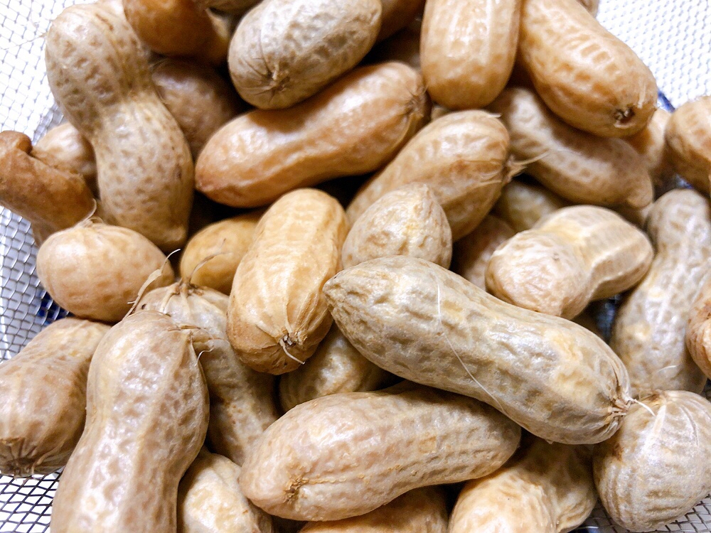 旬の味わい 地元民から伝授 生落花生の茹で方コツ レシピ 作り方 By M H 楽天レシピ 旬の味わい 地元民から伝授 生落花生の茹で方コツ レシピ 作り方 By M H 楽天レシピ