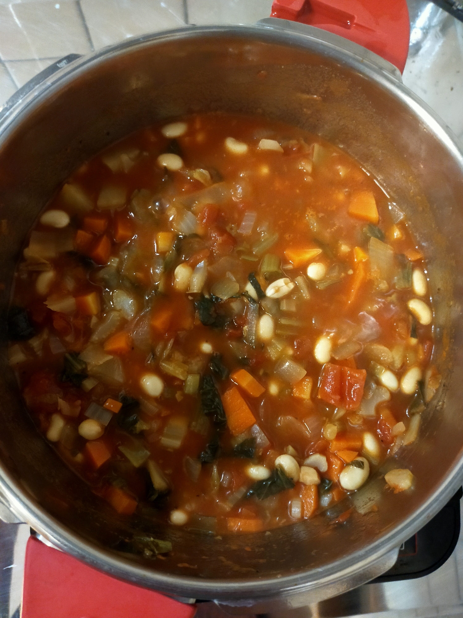 栄養満点！圧力鍋で簡単野菜スープ！