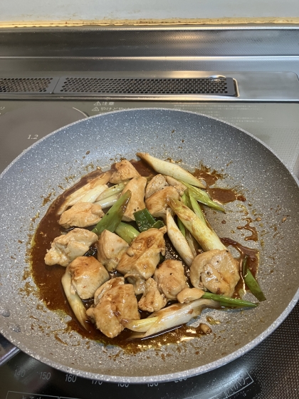 鶏肉と長ネギの焼き鳥風