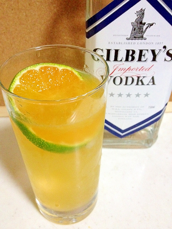 みかん の お酒 W レシピ 作り方 By ゴールデンアルジータ 楽天レシピ