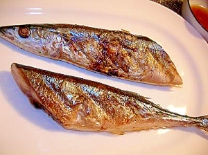 生秋刀魚を美味しく食べる　塩焼き＆素焼き