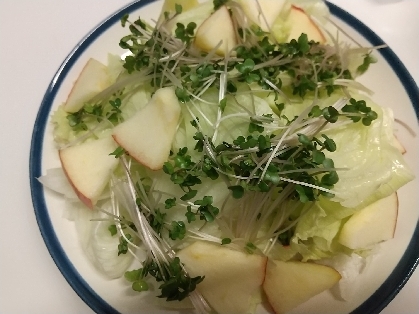 りんごの甘味とお酢の酸味、白出汁がマッチしてて、美味しかったです！オシャレなサラダ♪ごちそうさまです( =＾ω＾)