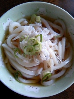 シラスのせ冷やしうどん