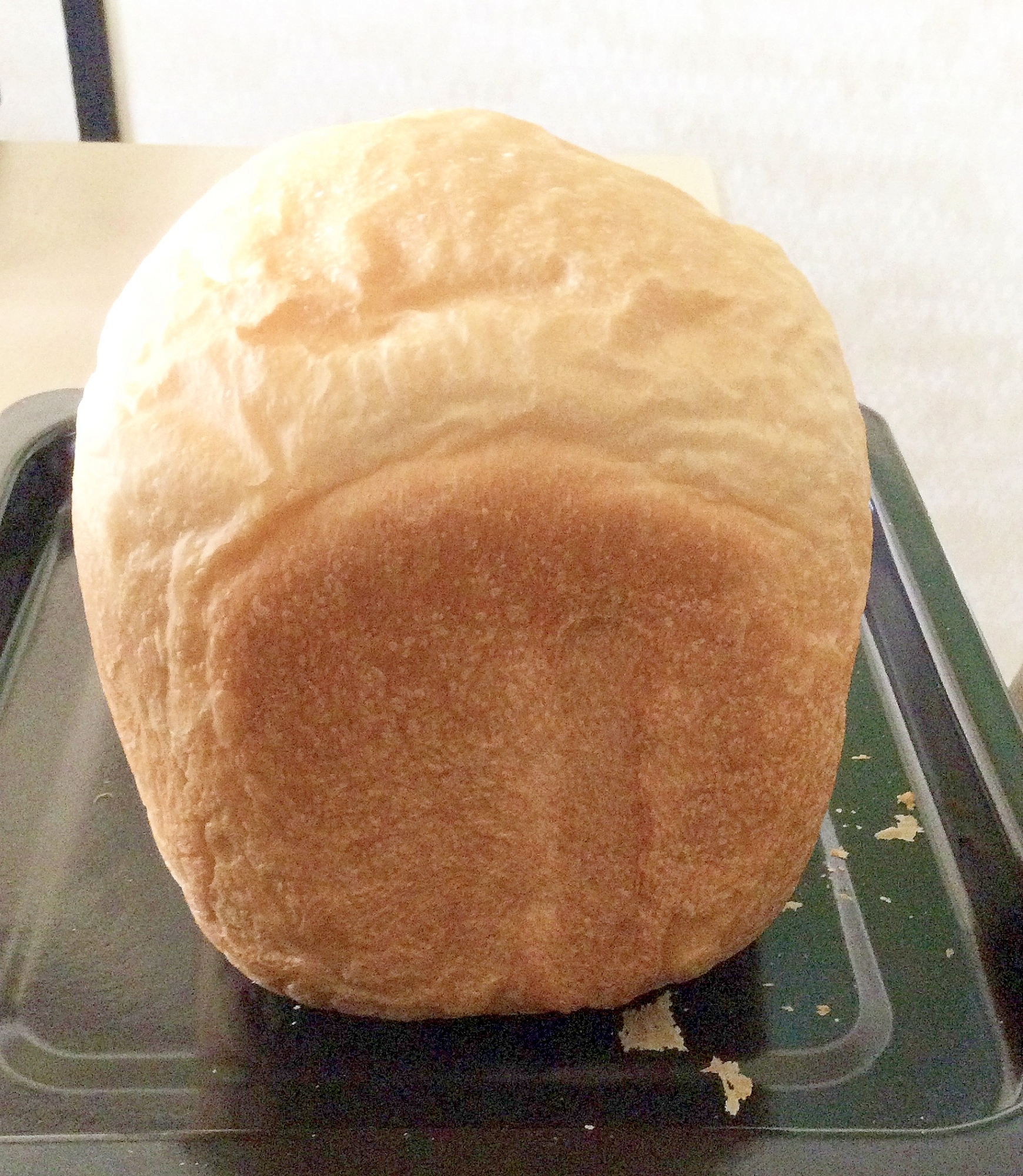 ムクナ豆食パン♪